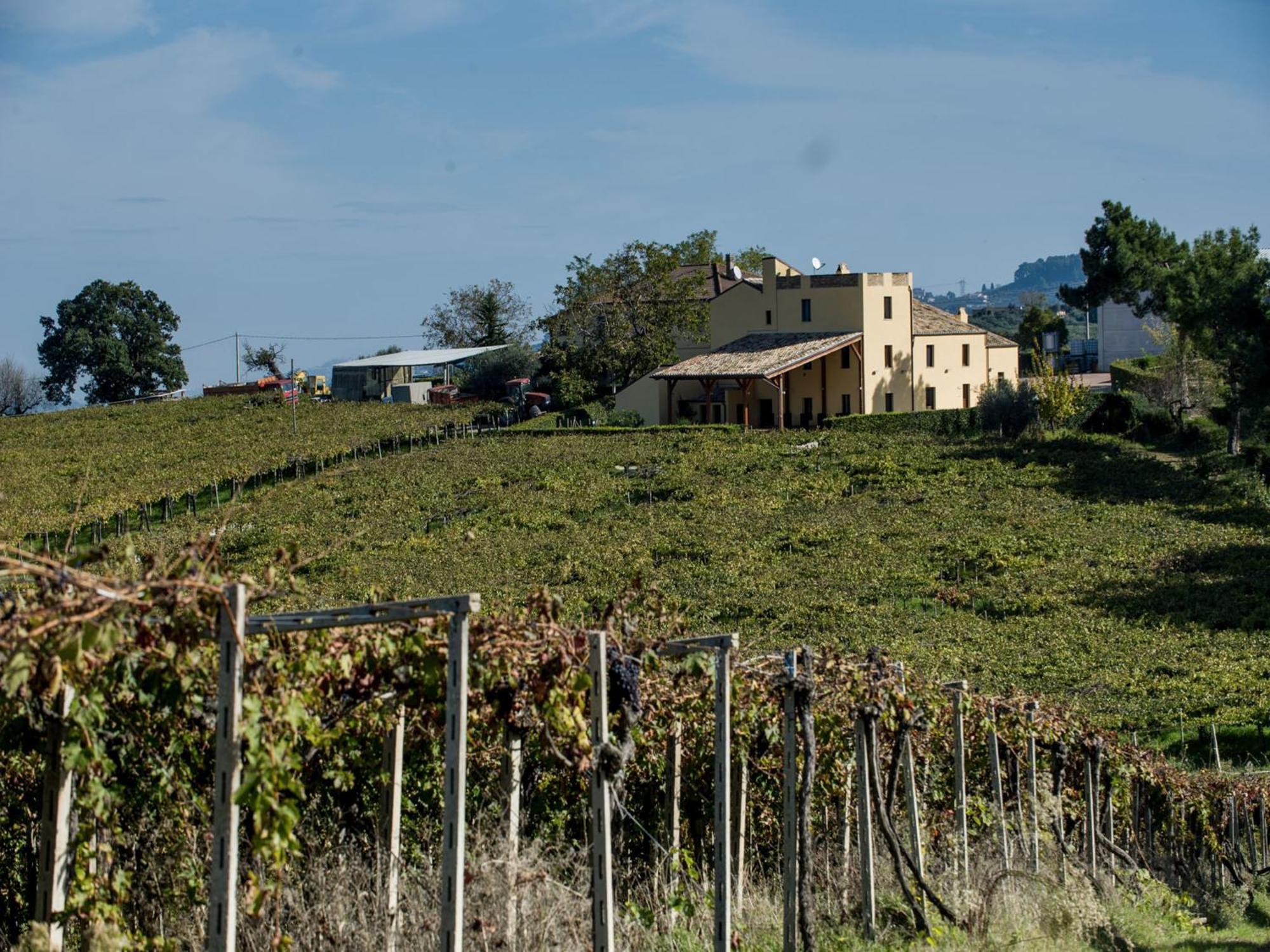 הוילה לורטו אפרוטינו Masseria Del Vino מראה חיצוני תמונה