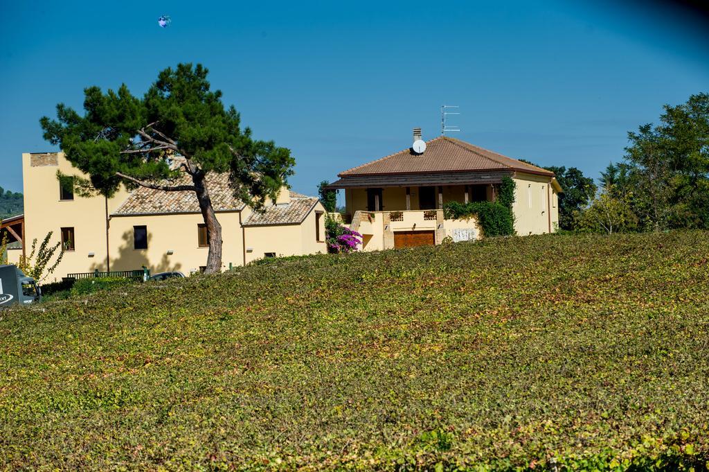 הוילה לורטו אפרוטינו Masseria Del Vino מראה חיצוני תמונה