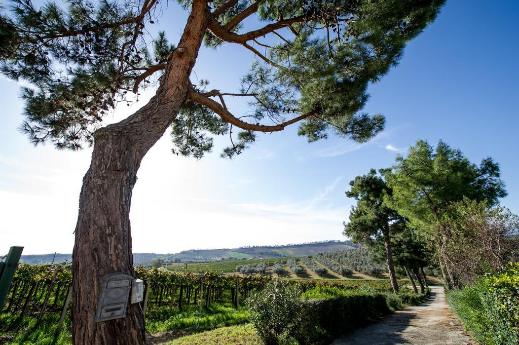 הוילה לורטו אפרוטינו Masseria Del Vino מראה חיצוני תמונה