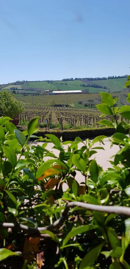 הוילה לורטו אפרוטינו Masseria Del Vino מראה חיצוני תמונה