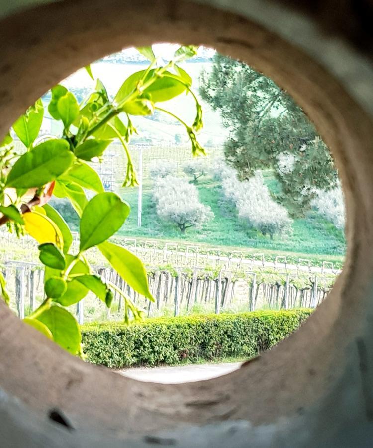 הוילה לורטו אפרוטינו Masseria Del Vino מראה חיצוני תמונה