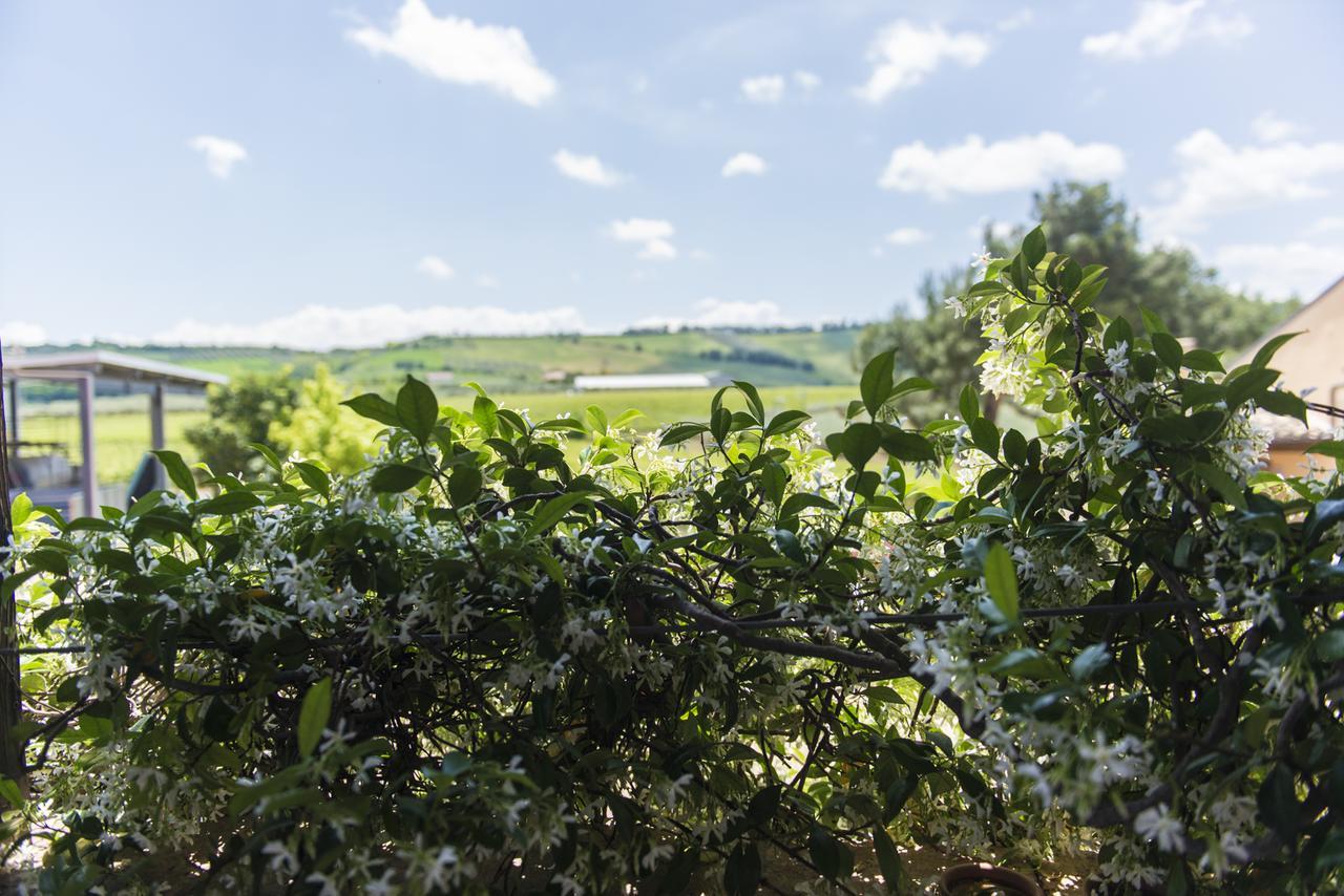 הוילה לורטו אפרוטינו Masseria Del Vino מראה חיצוני תמונה