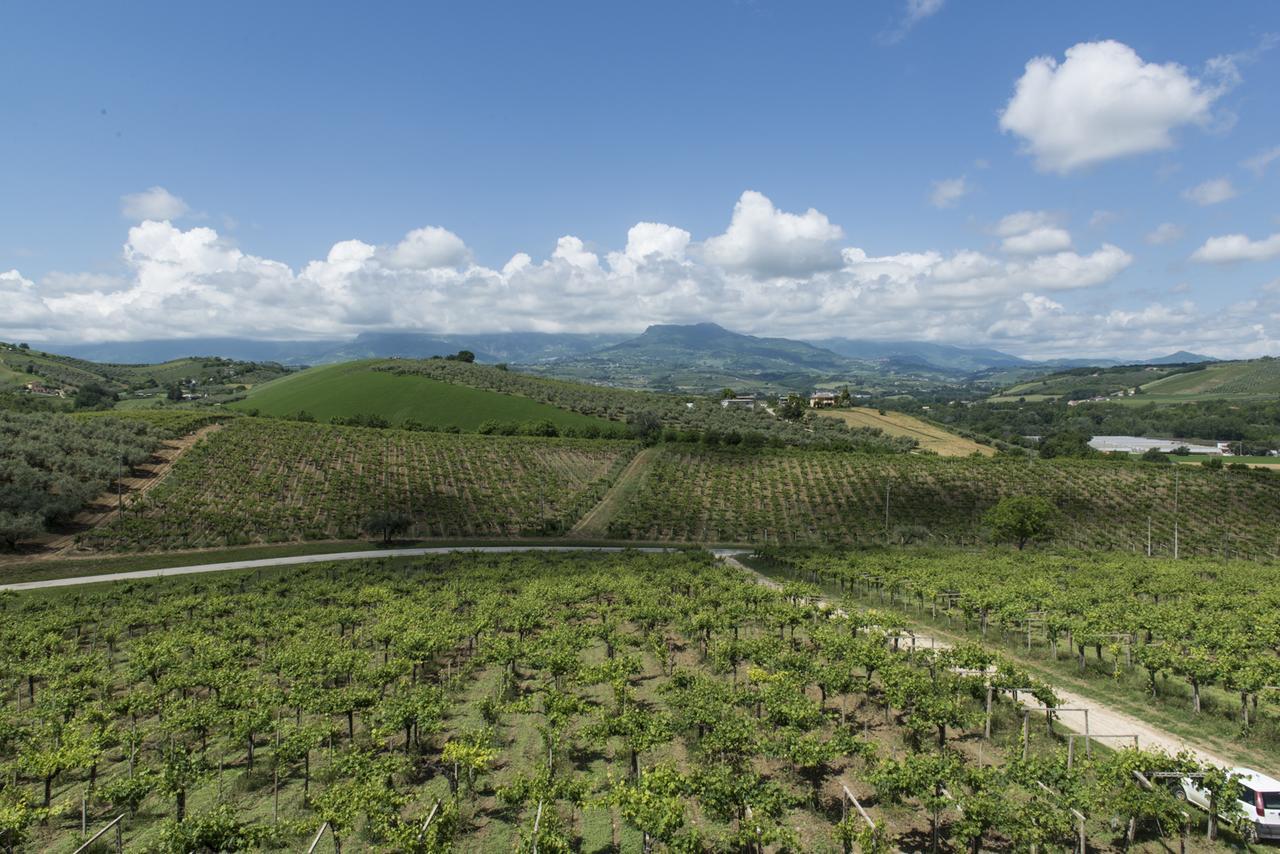 הוילה לורטו אפרוטינו Masseria Del Vino מראה חיצוני תמונה